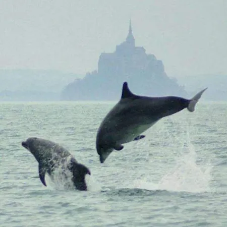 Calme De 35 M2, Parking Gratuit