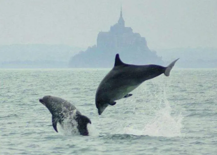 Calme De 35 M2, Parking Gratuit